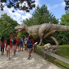 226799416_4361206627268825_4699409446942333397_n