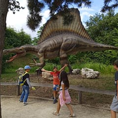 230494734_4361213597268128_2402214758201839014_n