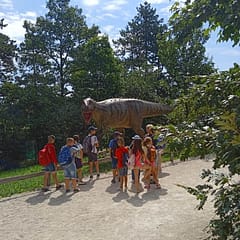 231613456_4361211633934991_4059580049105213020_n